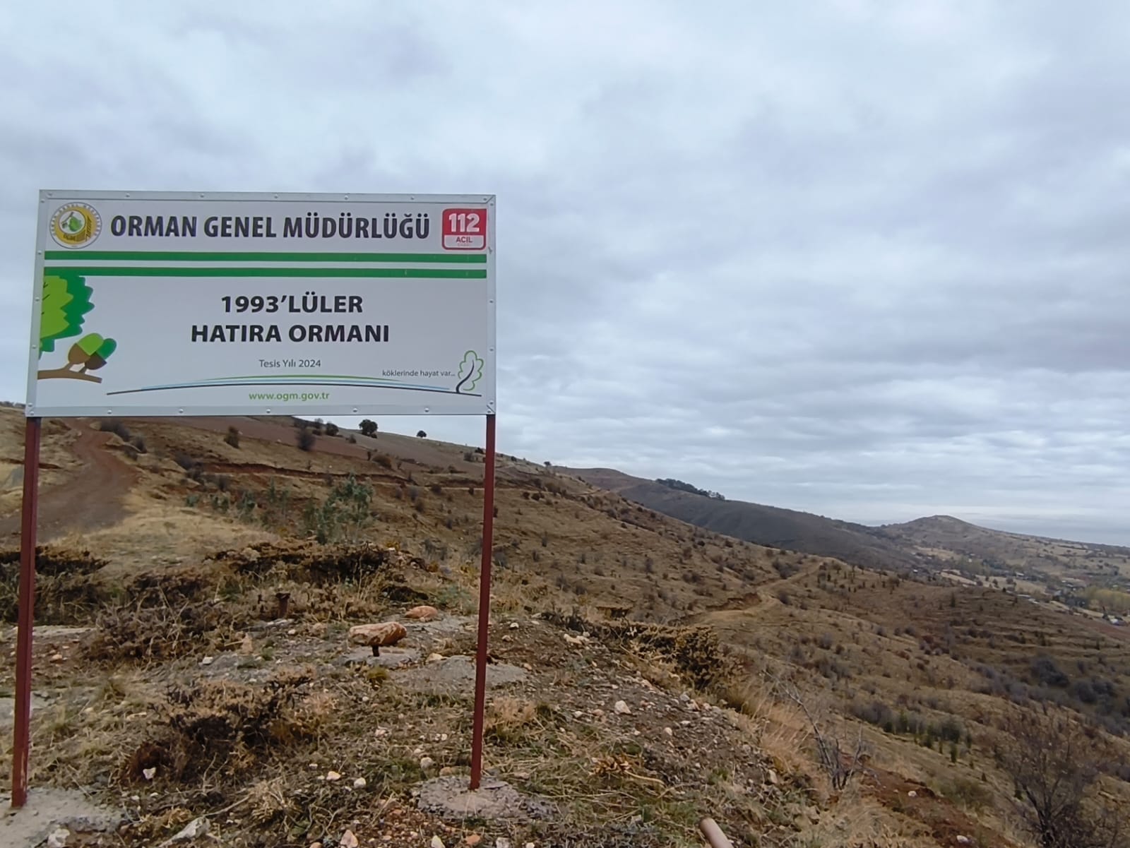 1993'lüler Hatıra Ormanı Ağaç Dikimi